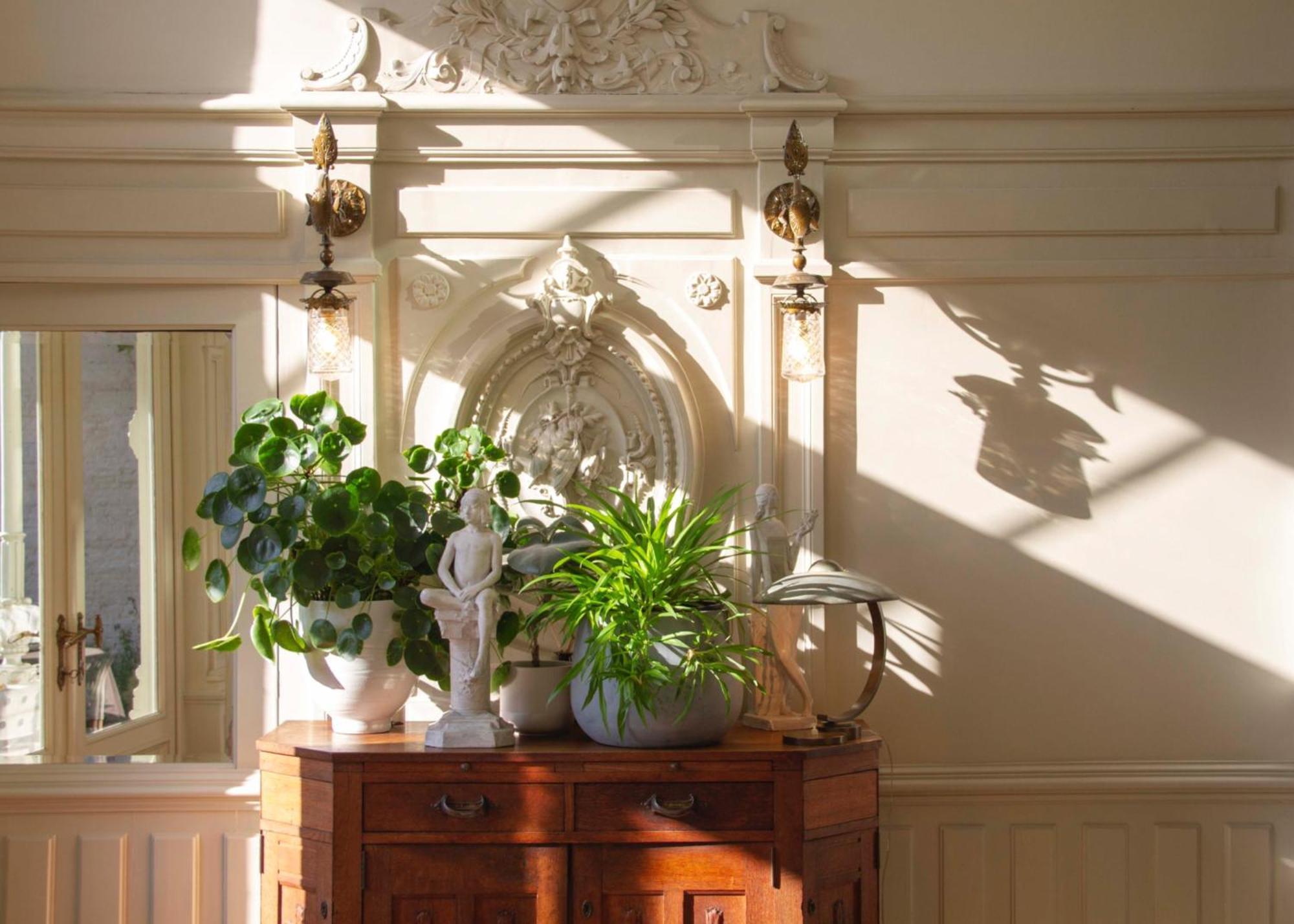 Huis Dujardin Bed&Breakfast Antwerpen Eksteriør billede