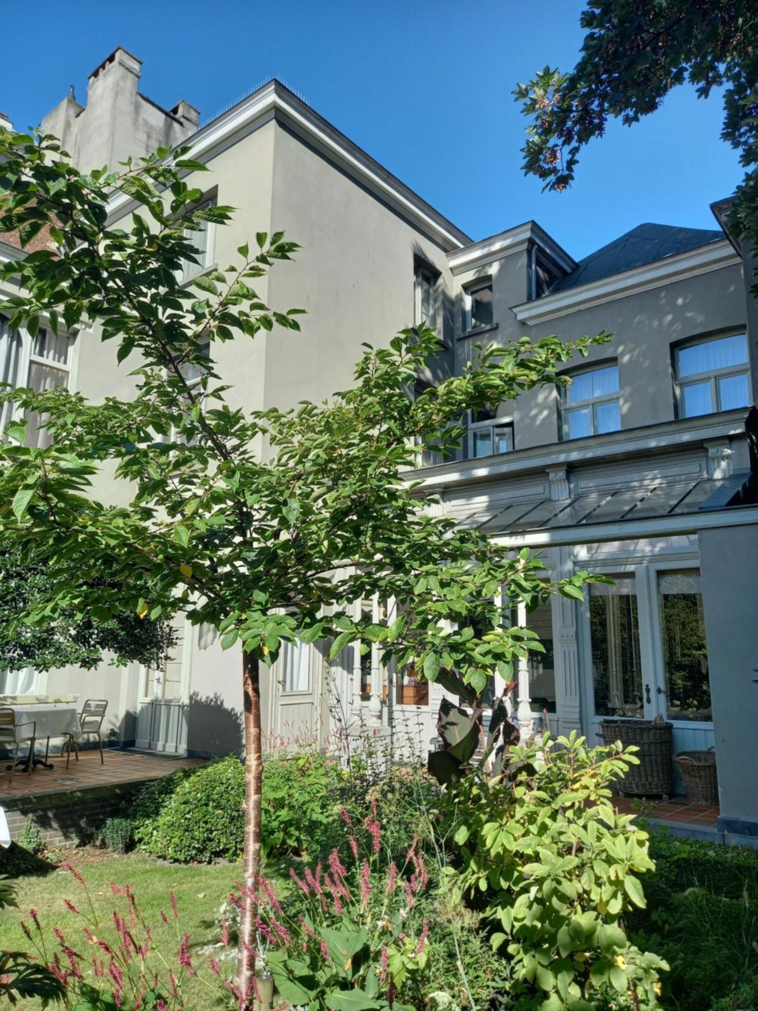 Huis Dujardin Bed&Breakfast Antwerpen Eksteriør billede