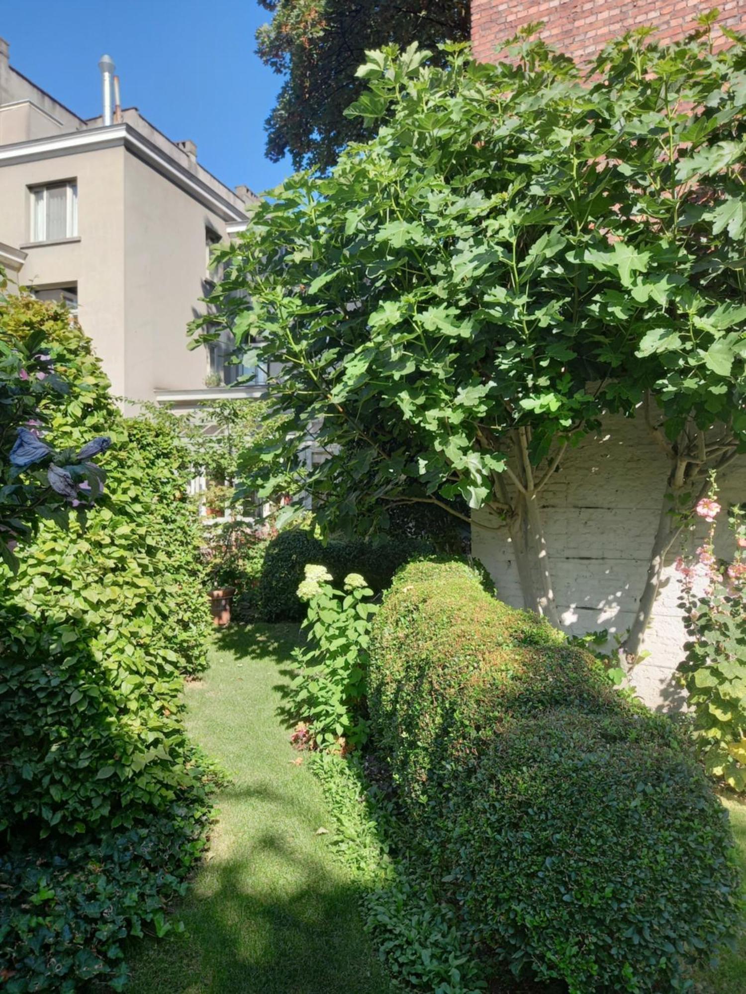 Huis Dujardin Bed&Breakfast Antwerpen Eksteriør billede