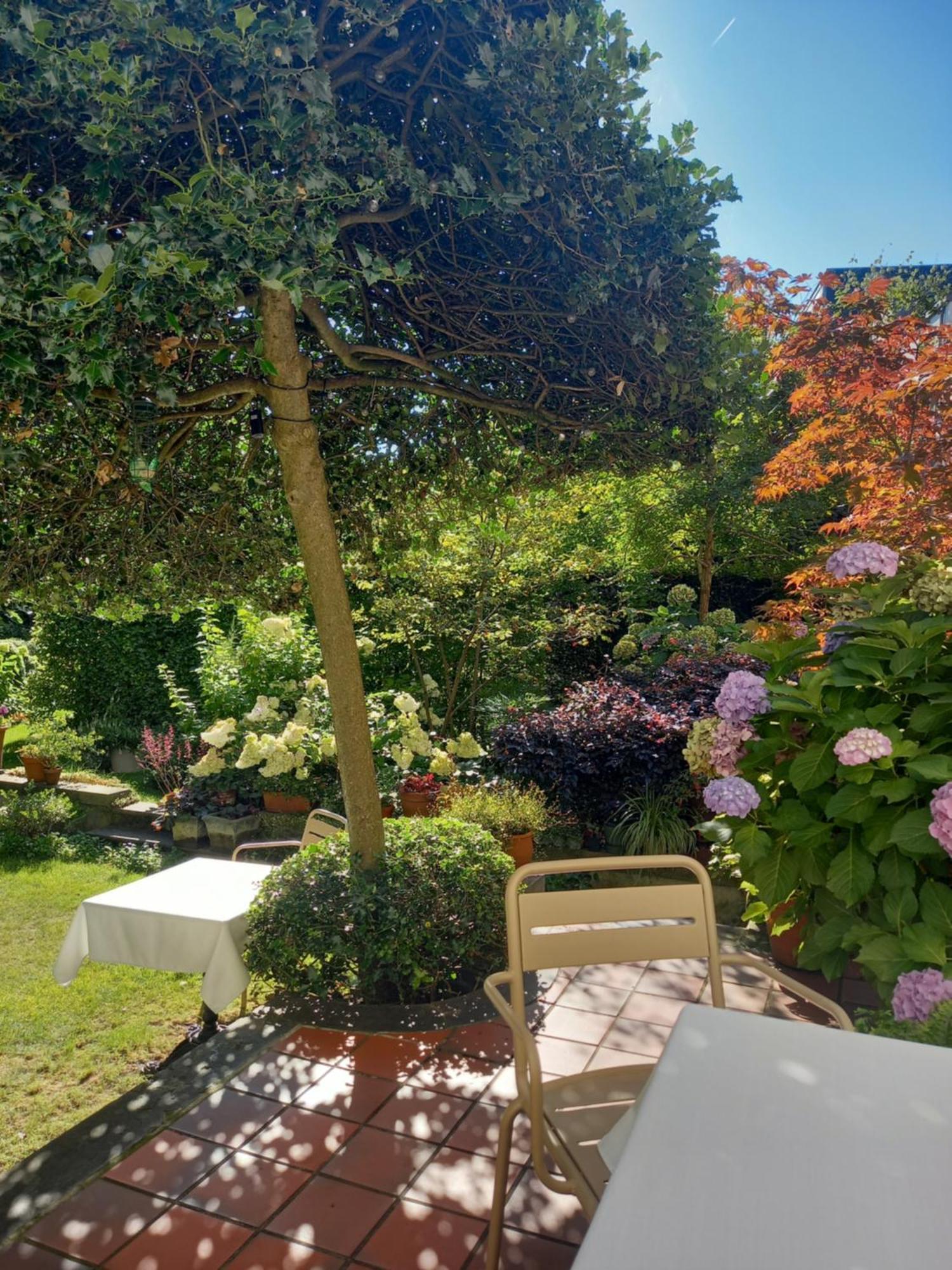 Huis Dujardin Bed&Breakfast Antwerpen Eksteriør billede