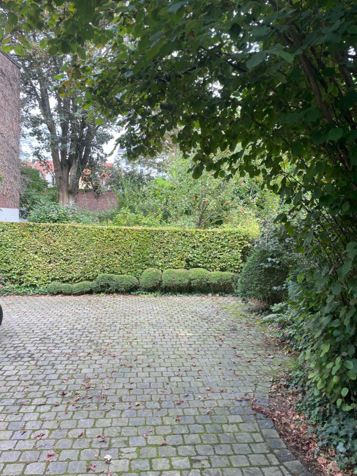 Huis Dujardin Bed&Breakfast Antwerpen Eksteriør billede